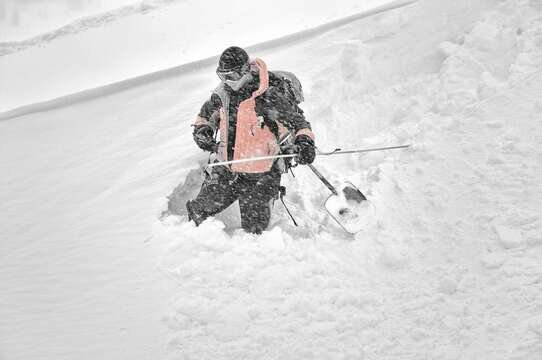 Avalanche Transceifer search