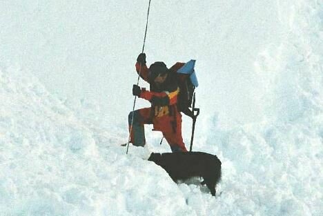 Search Dog Team