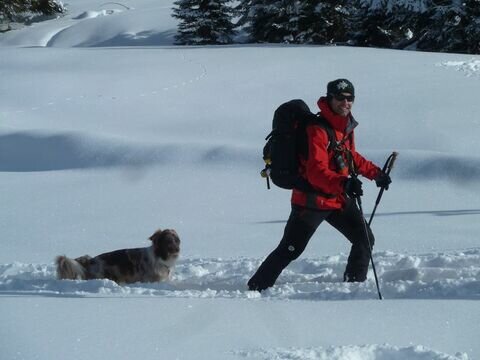 Search Dog
