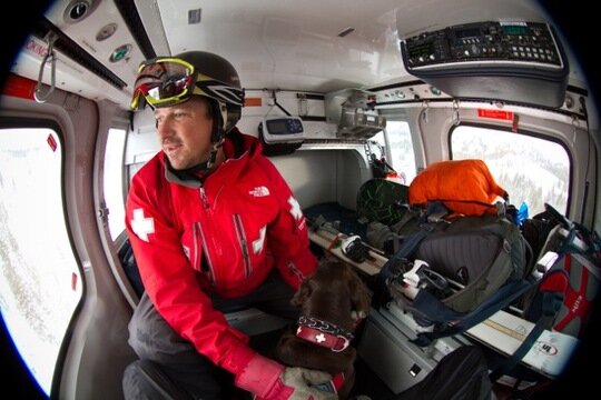 Helicopter Insight