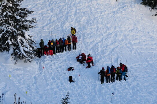 Avalanche Rescue - Probing Lines