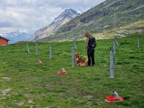 Dog-Handler-Training-Bernina-2023 Dog-Handler-Training-Bernina-2023
