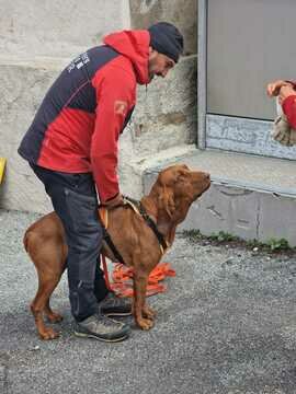 Dog-Handler-Training-Bernina-2023