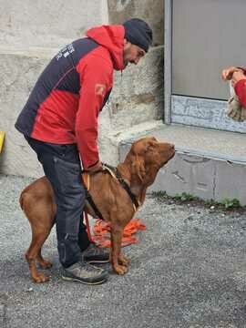 Dog-Handler-Training-Bernina-2023 Dog-Handler-Training-Bernina-2023