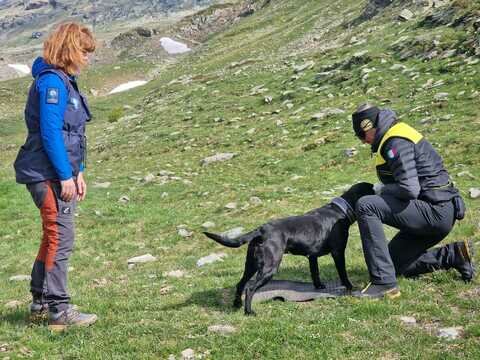 Dog-Handler-Training-Bernina-2023 Dog-Handler-Training-Bernina-2023