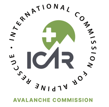 AVA ICAR sticker